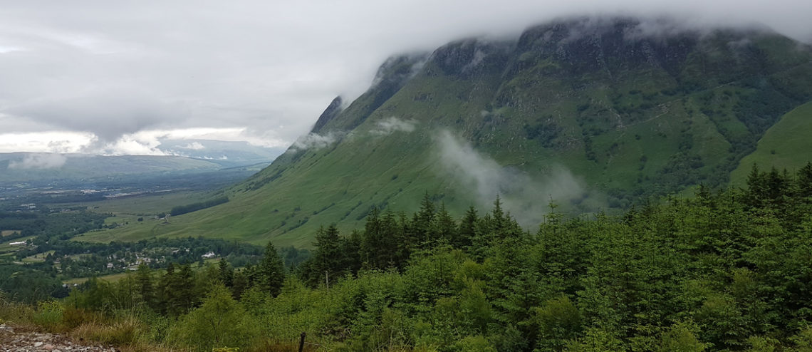 Picture of a grassy mountain