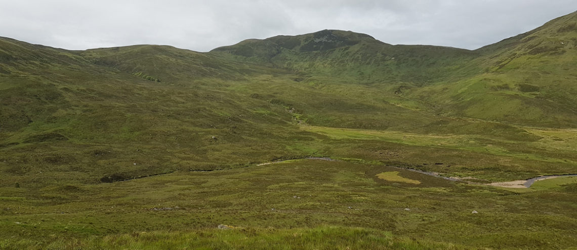 Picture of grassy hills