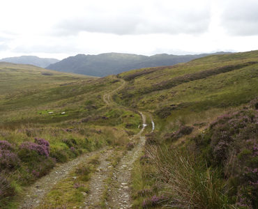 Mountain path during a walk